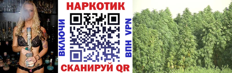 Виды наркоты Кукмор Псилоцибиновые грибы  Мефедрон  Канабис  АМФ  Кокаин  Alpha-PVP 