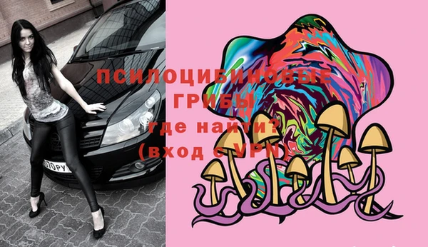дурь Алзамай