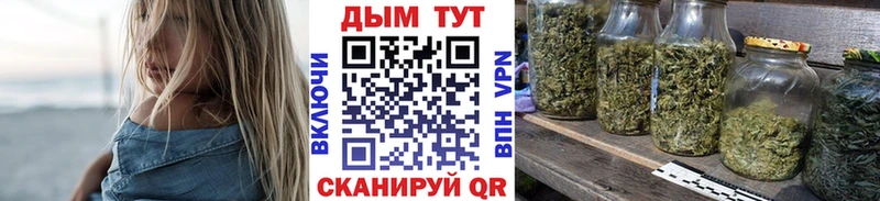Канабис OG Kush  Кукмор 
